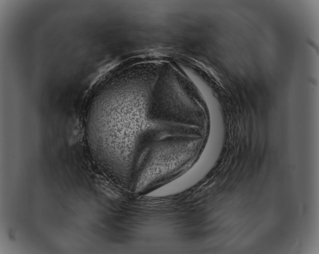 X0000091681160200709201233