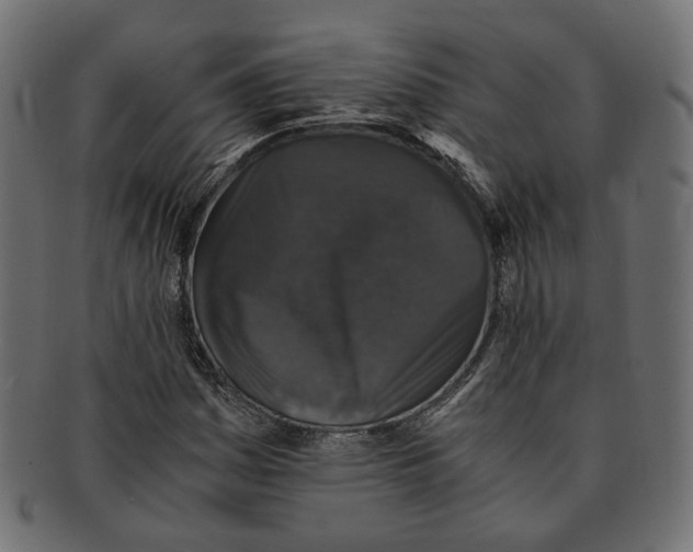 X0000091681161200709201233