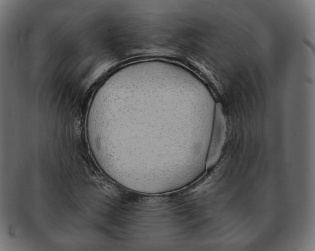 X0000091681163200709201233