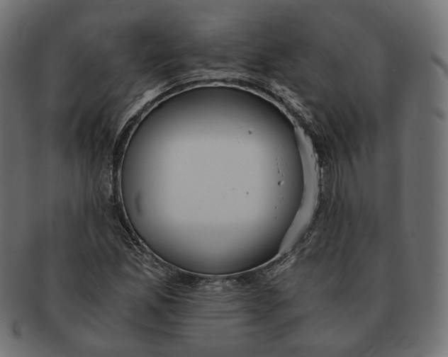 X0000091681165200709201233