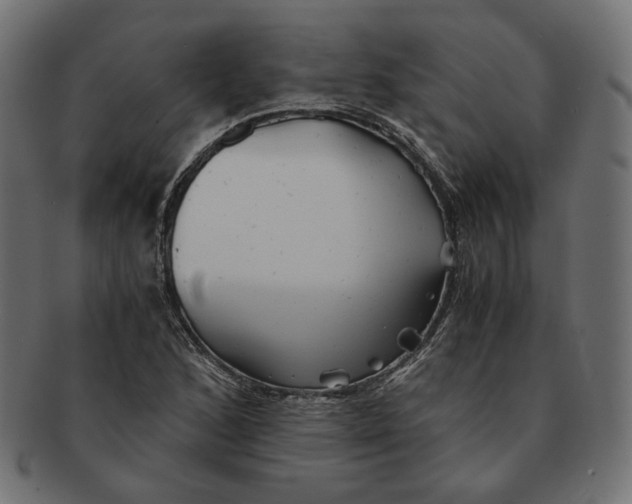 X0000091681168200709201233