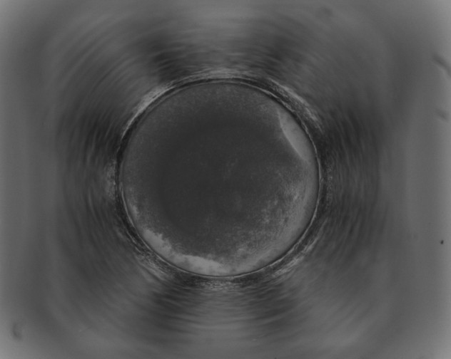 X0000091681170200709201233