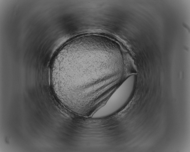 X0000091681171200709201233