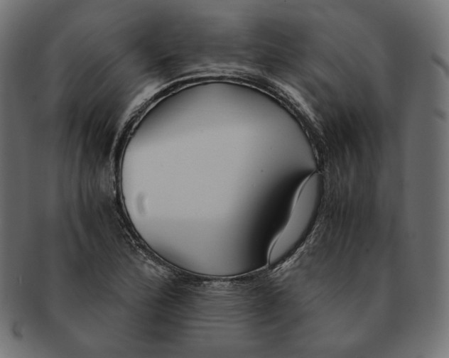 X0000091681172200709201233