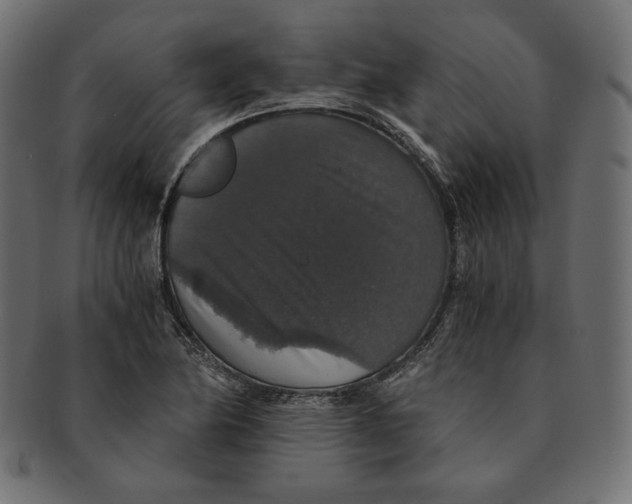 X0000091681174200709201233