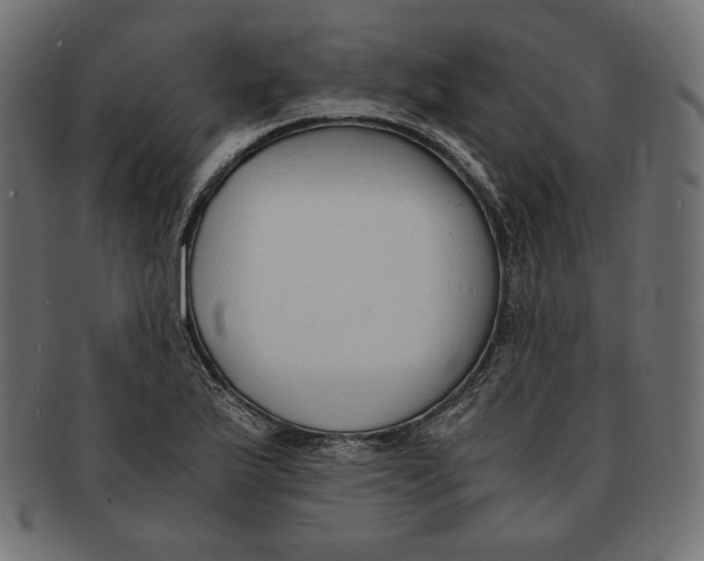 X0000091681175200709201233