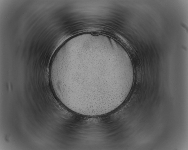 X0000091681178200709201233