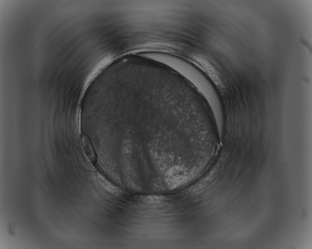 X0000091681180200709201233