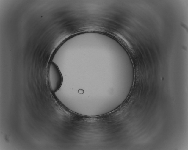 X0000091681182200709201233