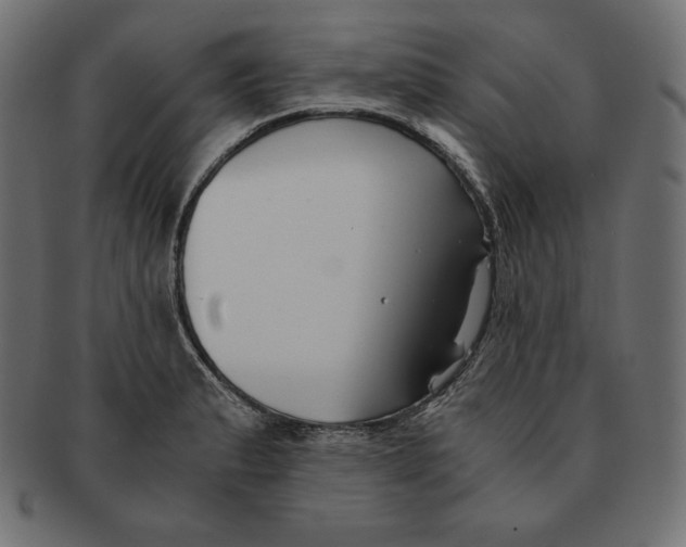 X0000091681183200709201233