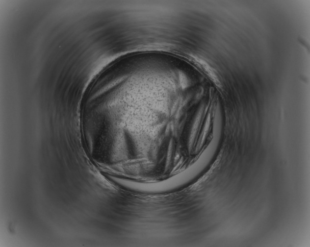 X0000091681184200709201233