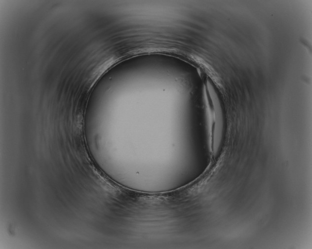 X0000091681185200709201233