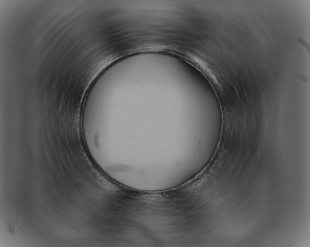 X0000091681186200709201233