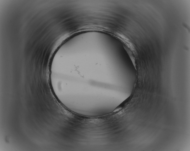 X0000091681188200709201233