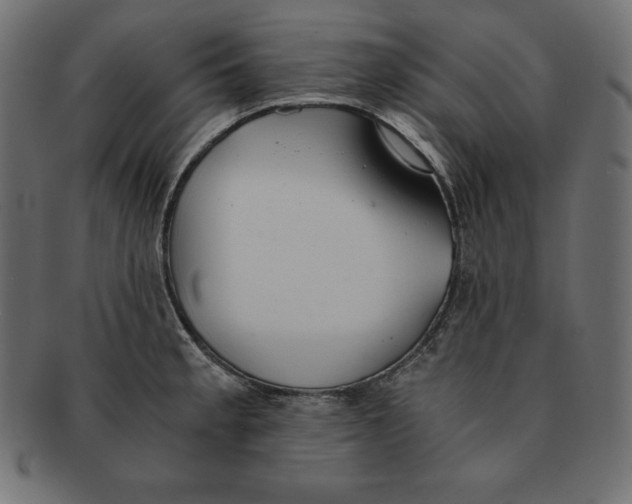 X0000091681189200709201233