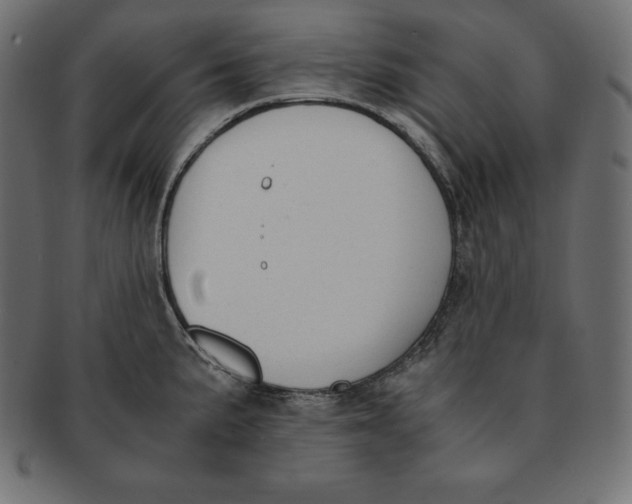 X0000091681191200709201233