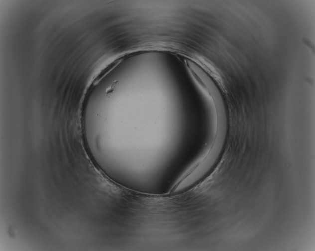 X0000091681192200709201233