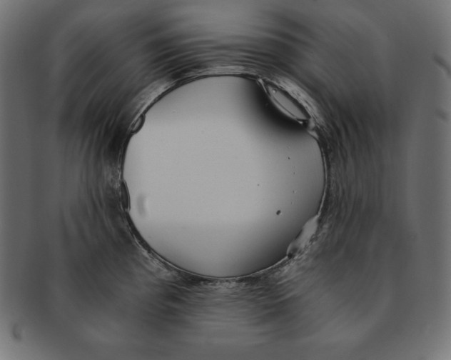 X0000091681193200709201233