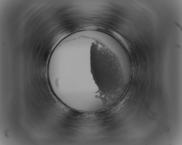 X0000091681194200709201233