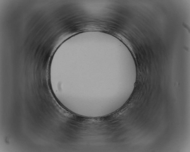 X0000091681195200709201233