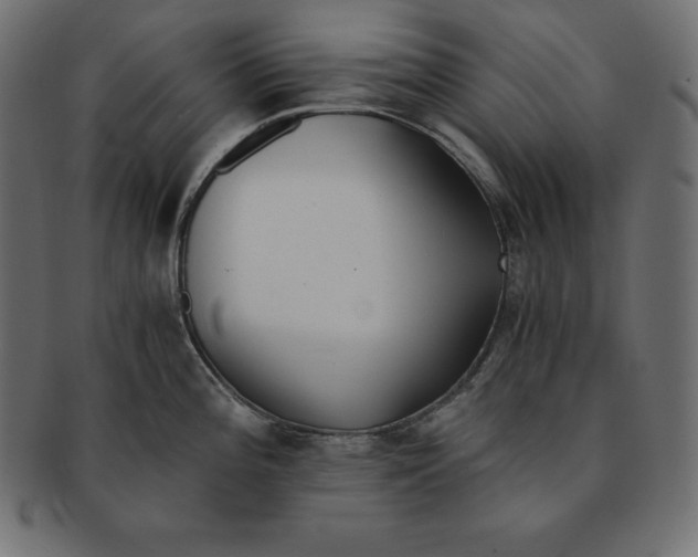 X0000091681196200709201233