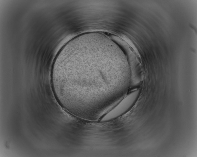 X0000091681197200709201233