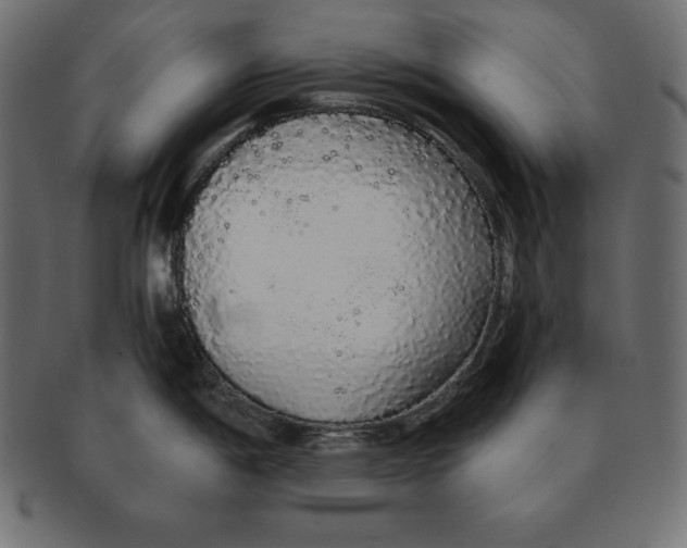 X0000091681198200709201233