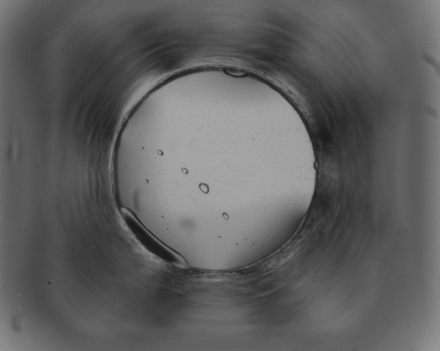 X0000091681199200709201233