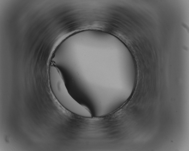 X0000091681200200709201233