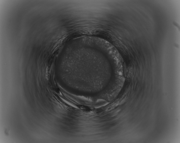 X0000091681202200709201232