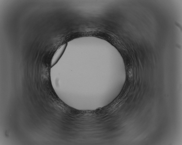 X0000091681204200709201232