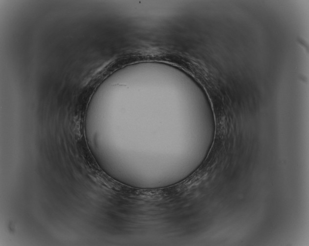 X0000091681205200709201232