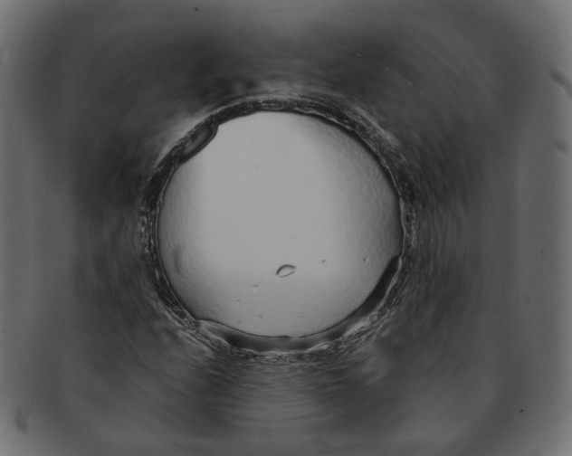 X0000091681208200709201232