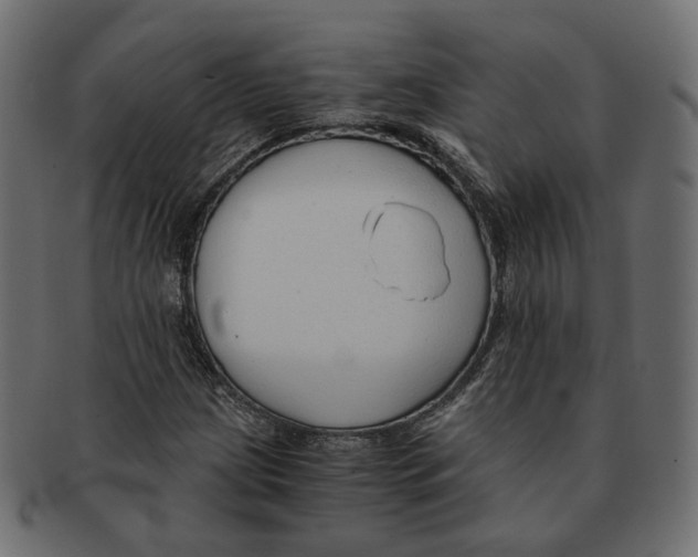 X0000091681209200709201232