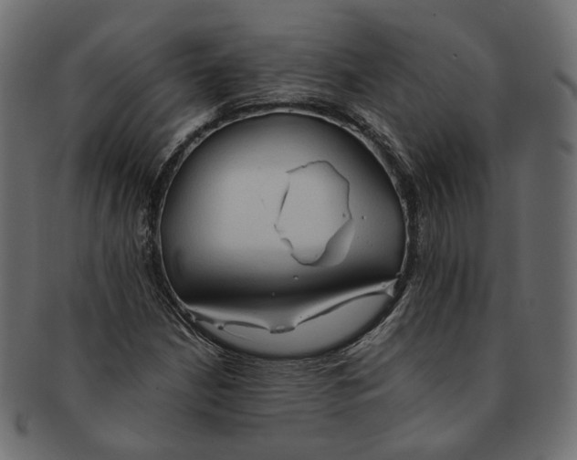 X0000091681210200709201232