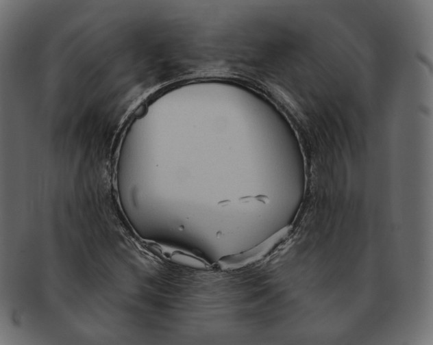 X0000091681212200709201232