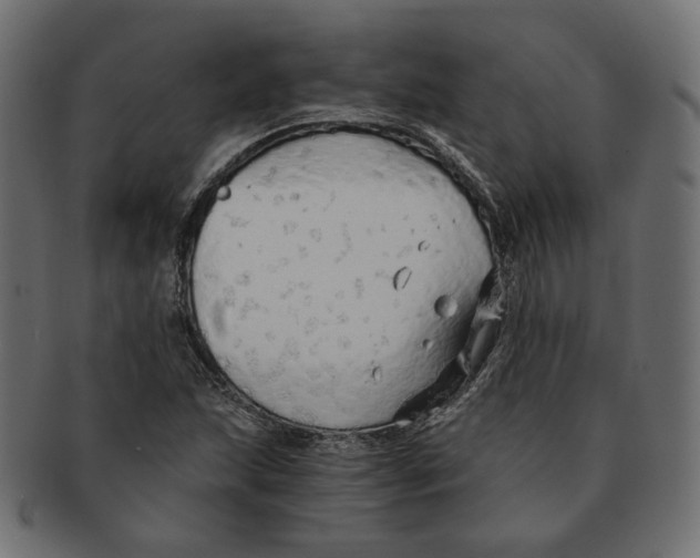 X0000091681215200709201232