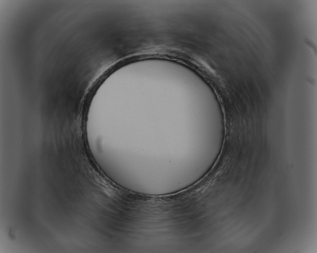 X0000091681216200709201232