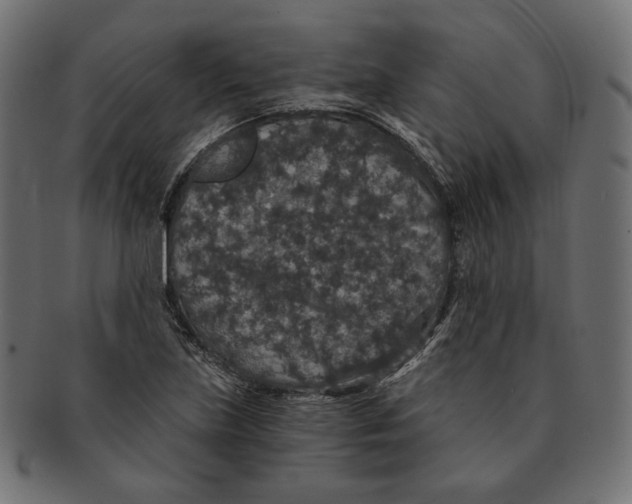 X0000091681219200709201232