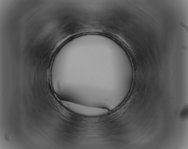 X0000091681220200709201232