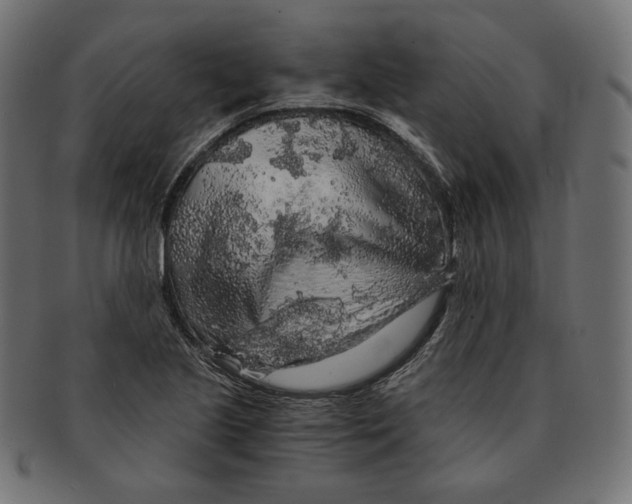 X0000091681221200709201232