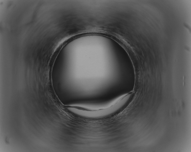 X0000091681222200709201232