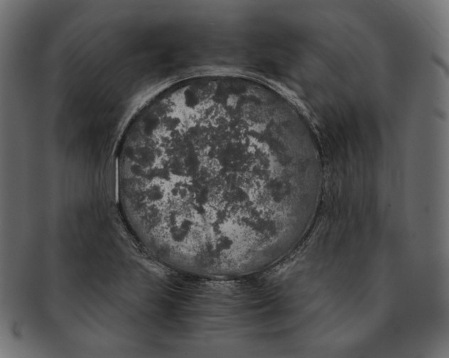 X0000091681223200709201232