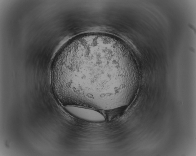 X0000091681224200709201232