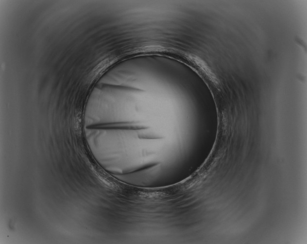 X0000091681225200709201232