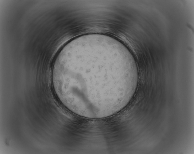 X0000091681227200709201232