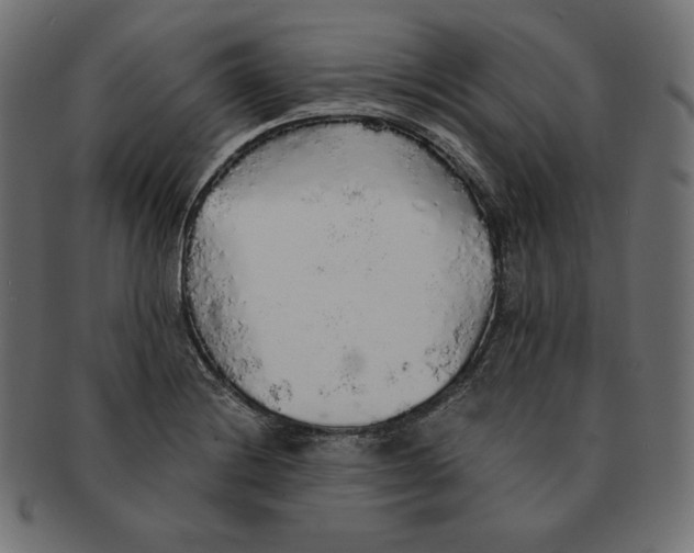 X0000091681228200709201232