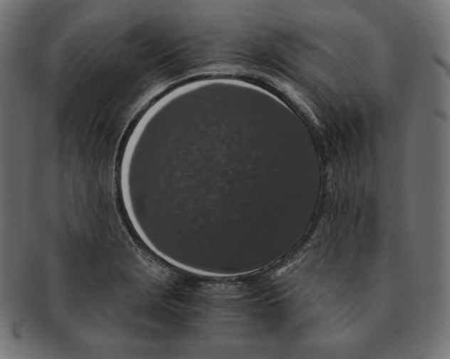 X0000091681229200709201232