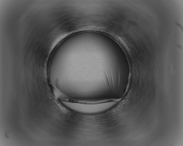 X0000091681230200709201232