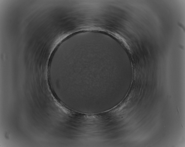 X0000091681231200709201232